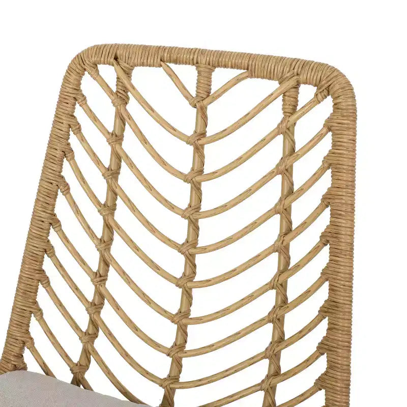 Berrien 2pk Outdoor Wicker Chairs with Cushion - Light Brown/Beige/Black - Christopher Knight Home
