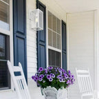 Globe Electric Bowery 1-Light 16" Metal Indoor Outdoor Wall Sconce with Clear Glass Shade Matte White