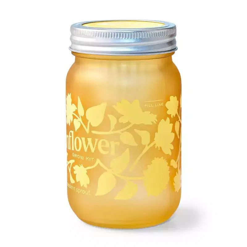 Modern Sprout Sunflower Yellow Pint Jar Grow Kit