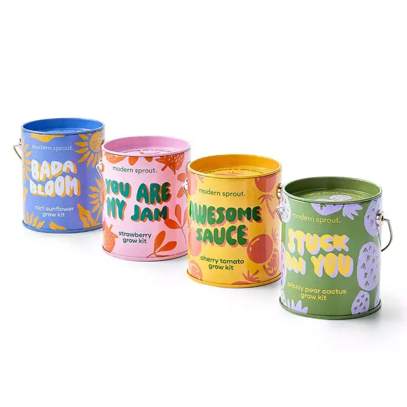 Modern Sprout Cactus Complimentary Color Grow Stuck on You Seed Starter Kit