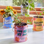 Modern Sprout Cactus Complimentary Color Grow Stuck on You Seed Starter Kit