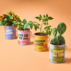 Modern Sprout Cactus Complimentary Color Grow Stuck on You Seed Starter Kit