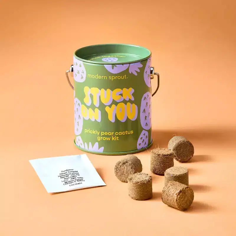 Modern Sprout Cactus Complimentary Color Grow Stuck on You Seed Starter Kit