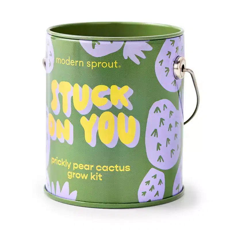 Modern Sprout Cactus Complimentary Color Grow Stuck on You Seed Starter Kit