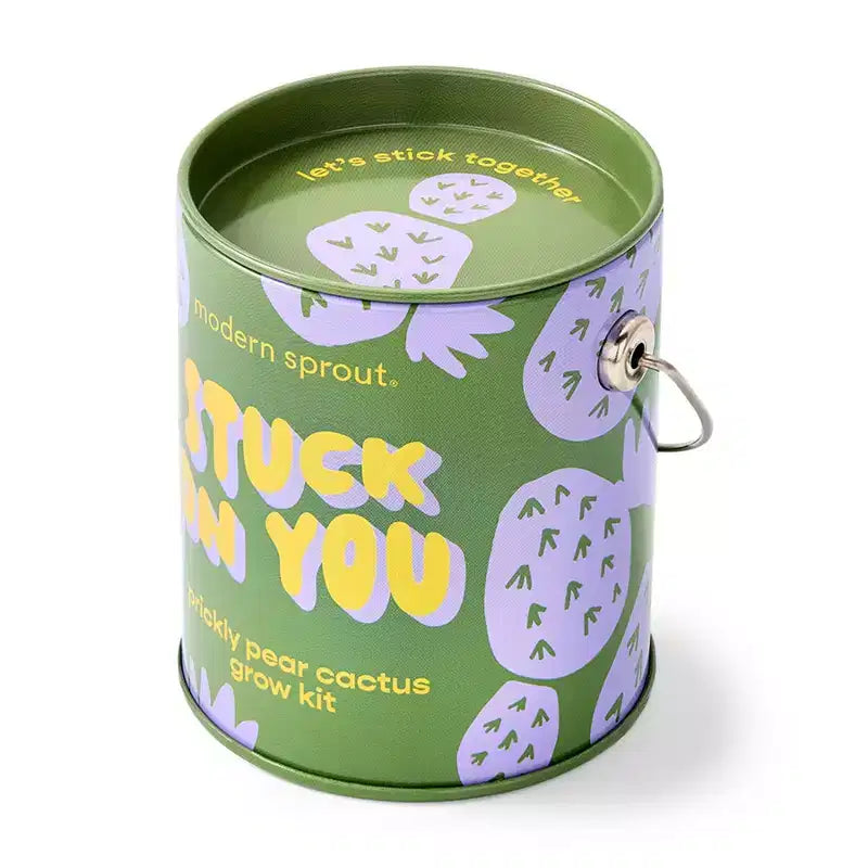Modern Sprout Cactus Complimentary Color Grow Stuck on You Seed Starter Kit