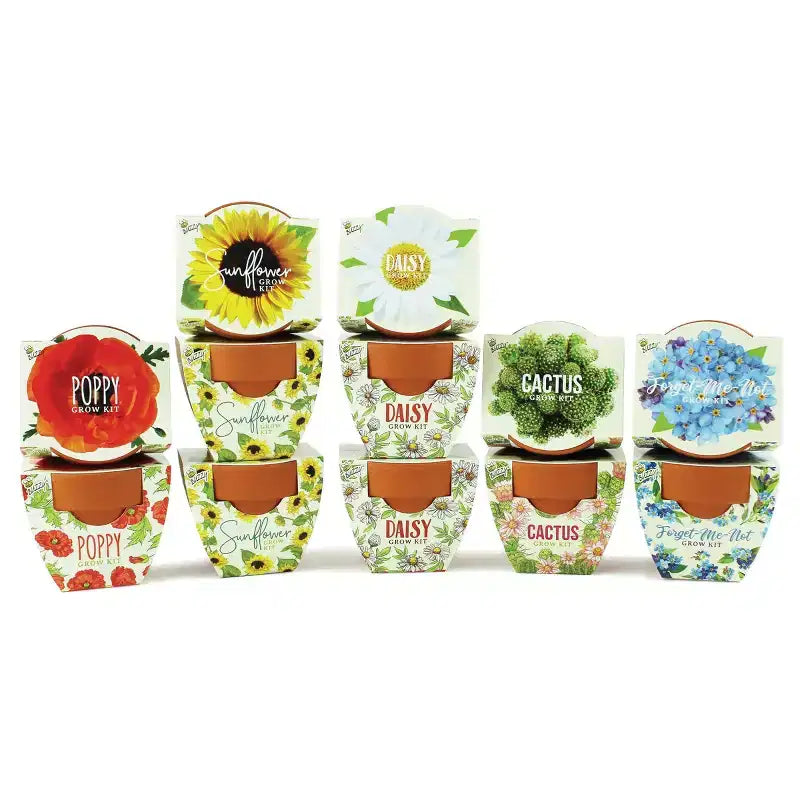 Buzzy Seeds 12pk Poppy Sunflower Daisy Forget-Me-Not Cactus Daydream Mini Grow Pots Flower Kits