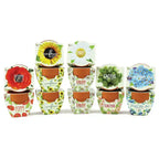Buzzy Seeds 12pk Poppy Sunflower Daisy Forget-Me-Not Cactus Daydream Mini Grow Pots Flower Kits