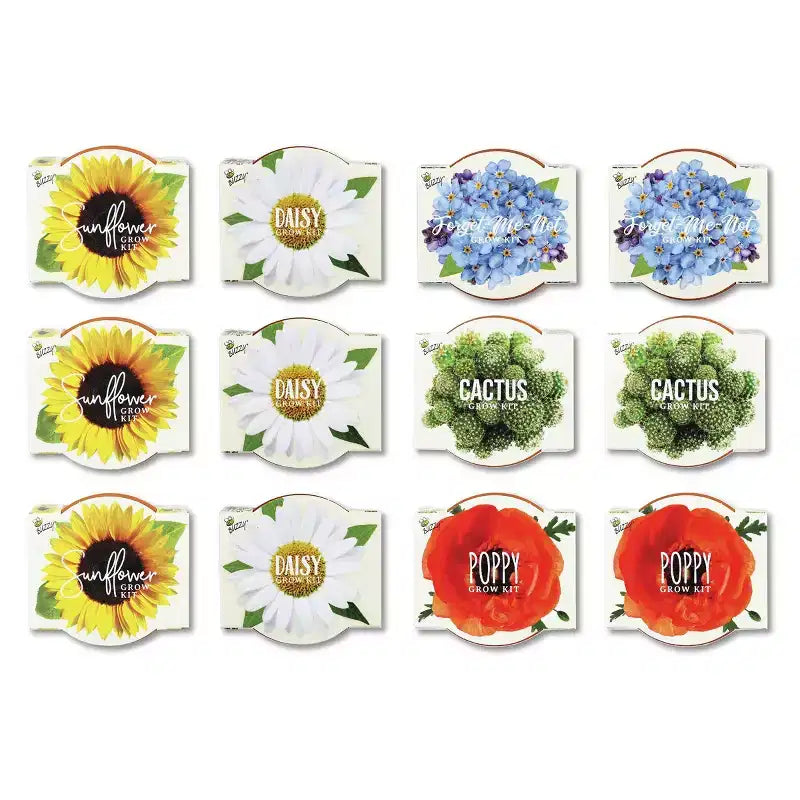 Buzzy Seeds 12pk Poppy Sunflower Daisy Forget-Me-Not Cactus Daydream Mini Grow Pots Flower Kits