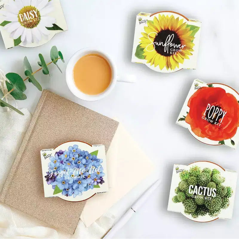 Buzzy Seeds 12pk Poppy Sunflower Daisy Forget-Me-Not Cactus Daydream Mini Grow Pots Flower Kits
