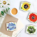 Buzzy Seeds 12pk Poppy Sunflower Daisy Forget-Me-Not Cactus Daydream Mini Grow Pots Flower Kits