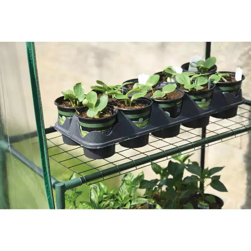 Miracle-Gro 24"x56" Mini Greenhouse Clear
