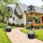 C Cattleya 3-Light 77.5in Black Complete Post Light with Planter and Clear Tempered Glass