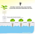 Ivation 20 Grow Sponges  Replacement Germination Pods for IVAHG20 Indoor Herb Growing System