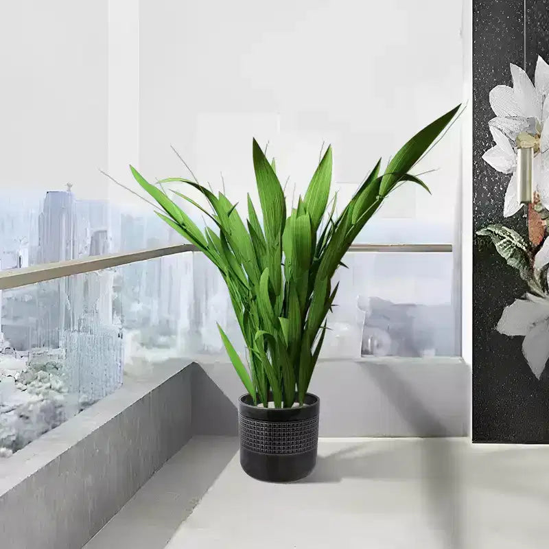 MAYEERTY 3-Piece Ceramic Flowerpot Modern Planter Black for Patio Garden Windowsills