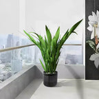 MAYEERTY 3-Piece Ceramic Flowerpot Modern Planter Black for Patio Garden Windowsills
