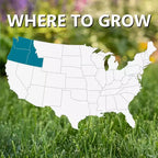 Jonathan Green Black Beauty Pacific Northwest Grass Seed Mixture