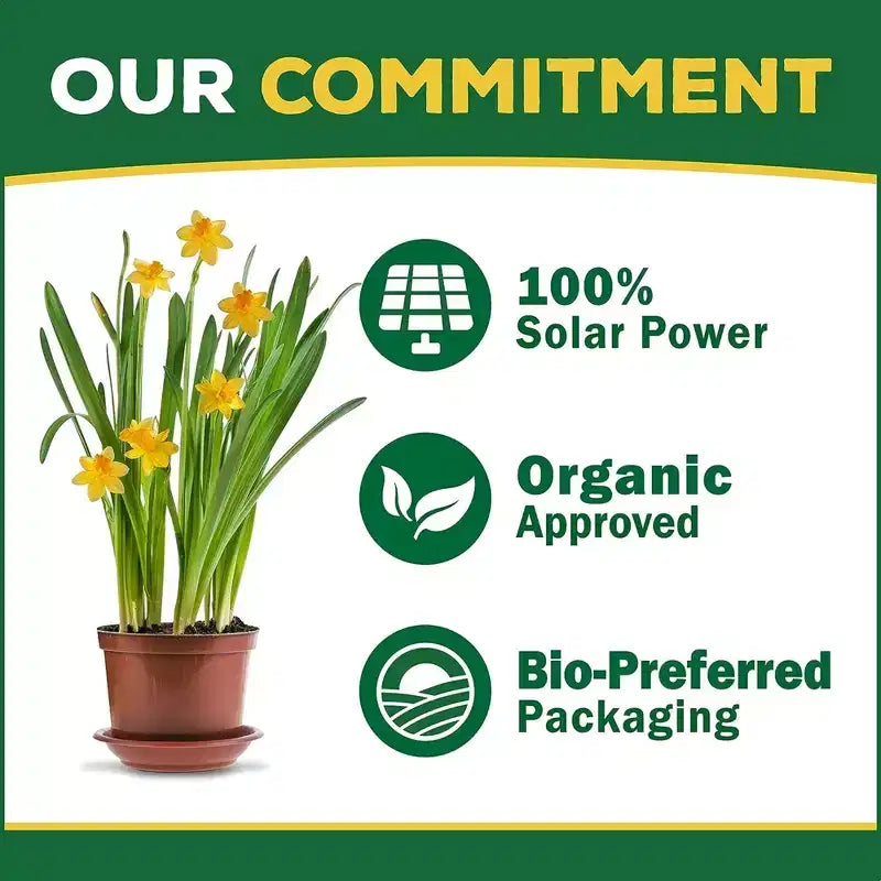 Espoma Organic Palm-Tone 4-1-5 Plant Food, 4lbs