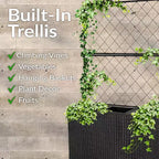 Sunnydaze 3-Section Wicker Planter Box with Trellis for Indoor or Outdoor Use - Black