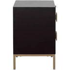 Coast to Coast Roma 20 Wide Black and Metallic 2-Drawer End Table