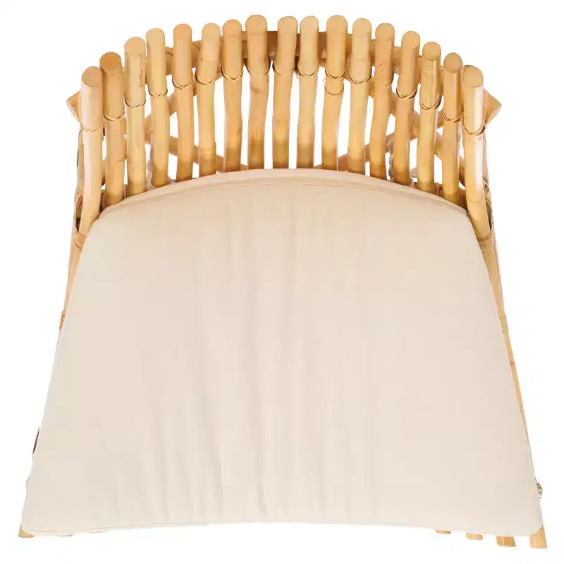 Eisley Accent Chair W/ Cushion - ACH6527 - Safavieh
