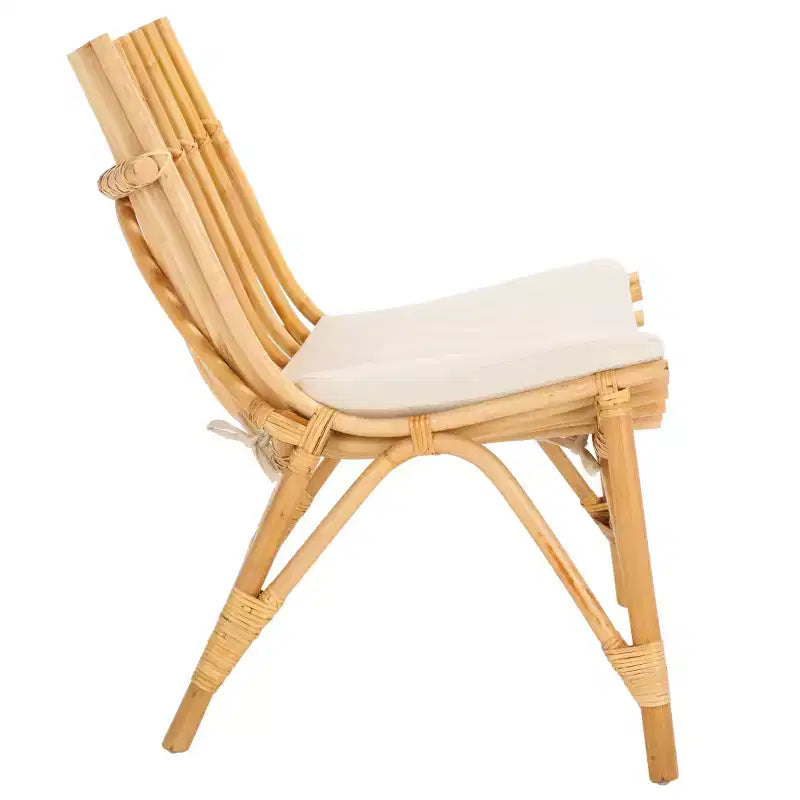 Eisley Accent Chair W/ Cushion - ACH6527 - Safavieh