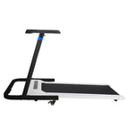 RAD Sportz Walking Pad Treadmill and Standing Desk