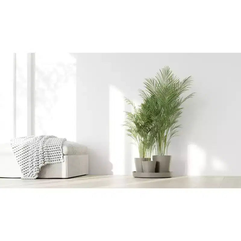 Ecopots Dubai Self Watering Durable Modern Round Indoor/Outdoor Recycled-Based Composite Flower Pot Planters w/Wheels and Saucer, Taupe, 22