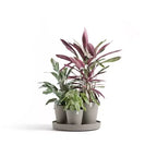Ecopots Dubai Self Watering Durable Modern Round Indoor/Outdoor Recycled-Based Composite Flower Pot Planters w/Wheels and Saucer, Taupe, 22