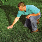 EZ Straw Grass Seed Germination & Erosion Control Blanket, 4 ft x 50 ft, Covers 200 sq ft