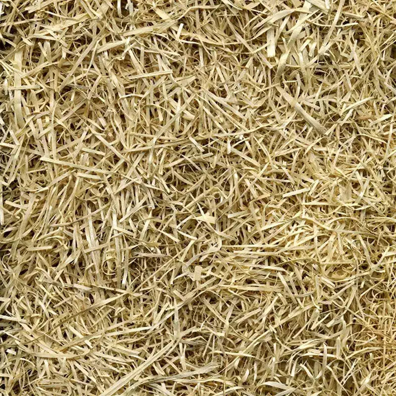 EZ Straw Grass Seed Germination & Erosion Control Blanket, 4 ft x 50 ft, Covers 200 sq ft