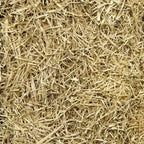 EZ Straw Grass Seed Germination & Erosion Control Blanket, 4 ft x 50 ft, Covers 200 sq ft