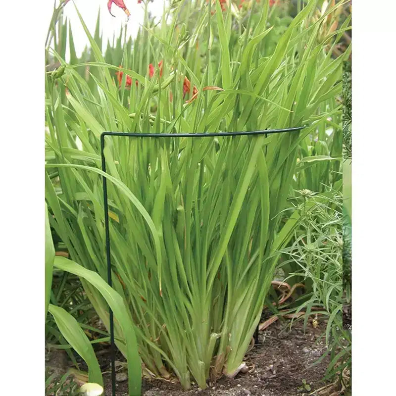 Luster Leaf Link-Ups U-Support Plant Prop, 4in W x 15in H