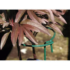 Luster Leaf Link-Ups Gathering Ring Plant Support, 6 Ring x 36 Leg