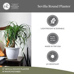 The HC Companies Sevilla Round Self-Watering Pot, Plastic Classic Planter with Internal Disk for Indoor and Outdoor Plants, 14 Inch, White