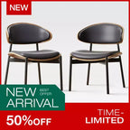 Luck Live Modern Patio Dining Chairs 2-Piece Outdoor Armless Dining Chair Set/Black&Metal Frame,