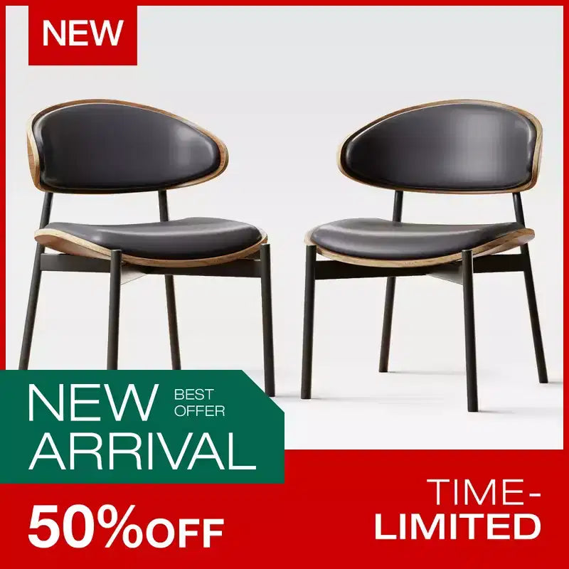 Luck Live Modern Patio Dining Chairs 2-Piece Outdoor Armless Dining Chair Set/Black&Metal Frame,