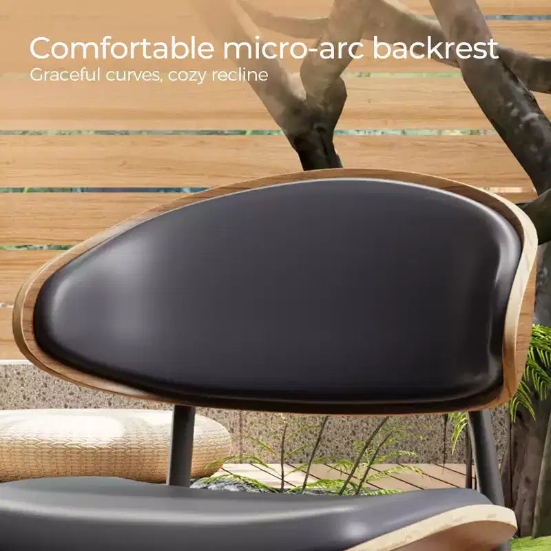 Luck Live Modern Patio Dining Chairs 2-Piece Outdoor Armless Dining Chair Set/Black&Metal Frame,