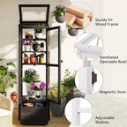 Wood Garden Greenhouse with Portable Cold Frame, Movable Storage & Adjustable Shelves, Indoor/Outdoor Use
