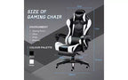 Ergonomic Gaming Chair with Lumbar Support  Sleek Racing Design