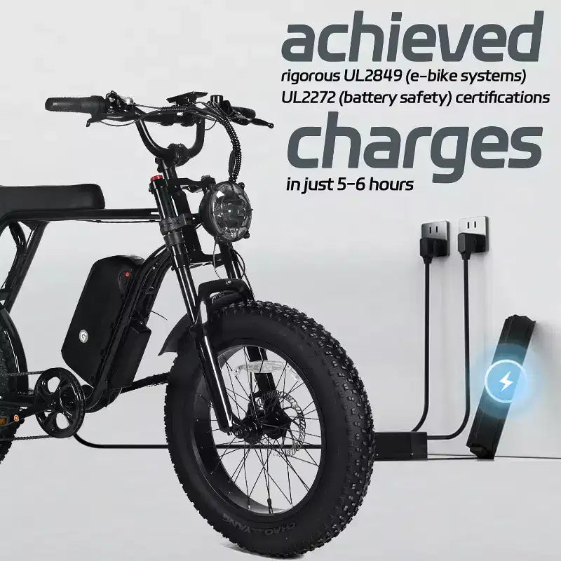Electric Mountain Bike for Adults, 20 x 4.0 Fat Tire, 750W Motor with 48V 15.6Ah Removable Battery
