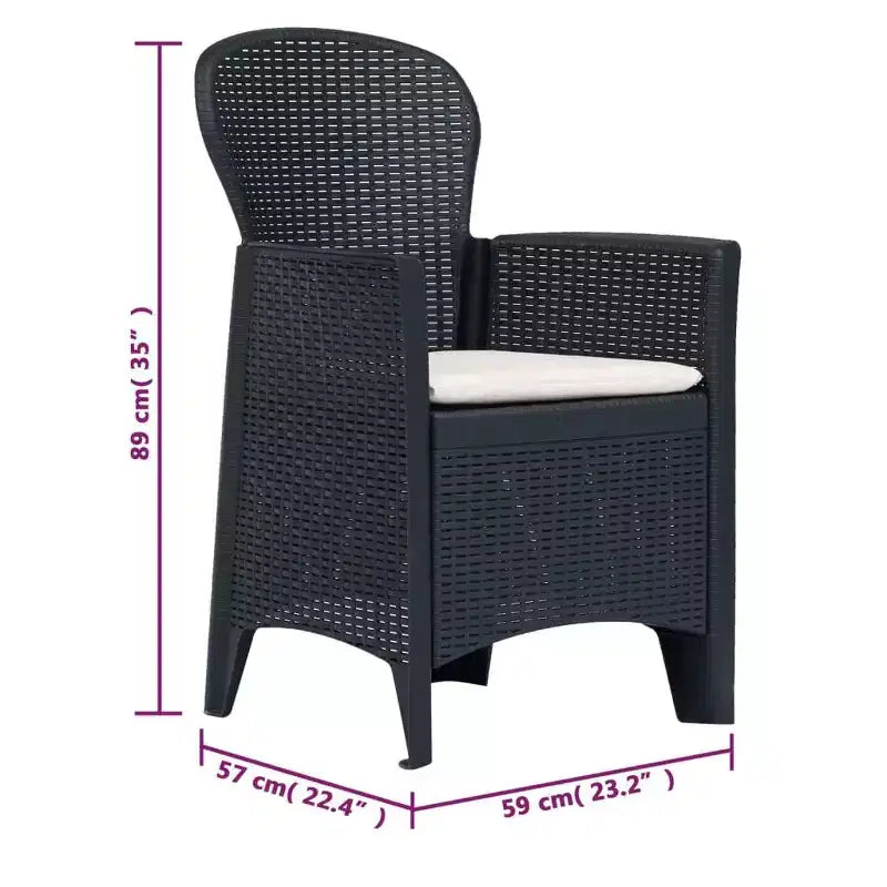 vidaXL Bistro Set Set of 2 Anthracite Plastic with rattan look Standard
