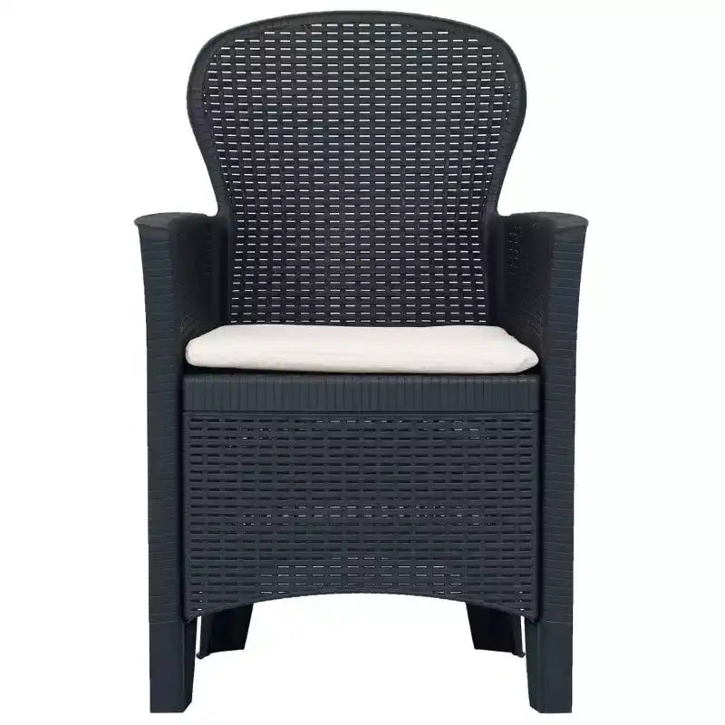vidaXL Bistro Set Set of 2 Anthracite Plastic with rattan look Standard