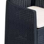 vidaXL Bistro Set Set of 2 Anthracite Plastic with rattan look Standard