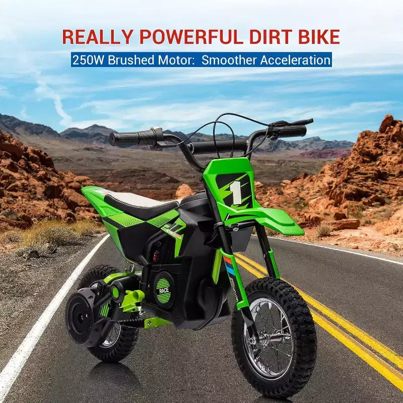 24V Kids Electric Off-Road Motorcycle 250W Motor Air-Filled Tires Metal Suspension Max 22KM/H 139LBS Load for Ages 6+ Riding Toy