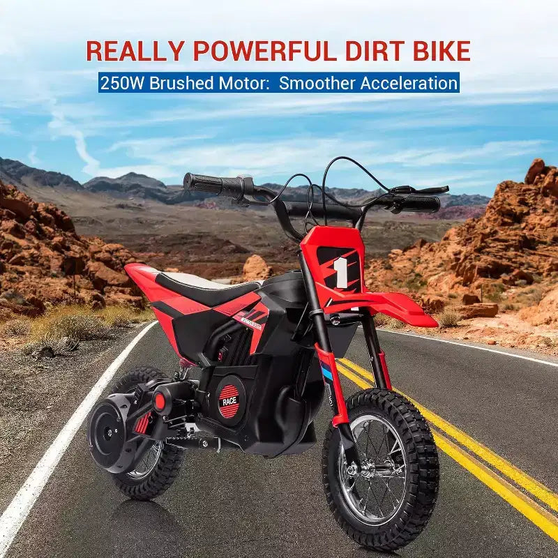 24V Kids Ride On Electric Off-Road Motorcycle,250W Motor 13.6MPH Fast Speed Dirt Bike Motocross,Leather Seat,for Kids Riding Toy, Red
