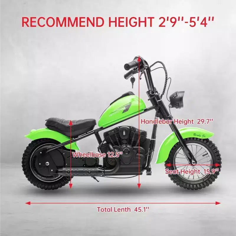 24V Kids Electric Dirt Bike - 14 MPH Off-Road Motorcycle for Ages 6-12, 250w Powerful Motor, 60 Min Ride Time, Hydraulic Suspension, Max 135 Lbs