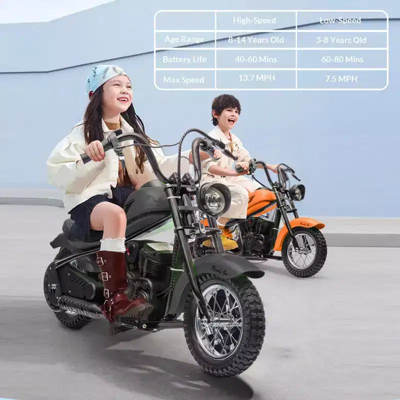 24V Kids Electric Dirt Bike - 14 MPH Off-Road Motorcycle for Ages 6-12, 250w Powerful Motor, 60 Min Ride Time, Hydraulic Suspension, Max 135 Lbs