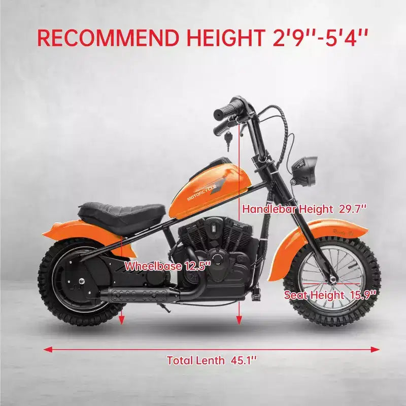 24V Kids Electric Dirt Bike - 14 MPH Off-Road Motorcycle for Ages 6-12, 250w Powerful Motor, 60 Min Ride Time, Hydraulic Suspension, Max 135 Lbs