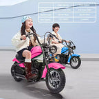 24V Kids Electric Dirt Bike - 14 MPH Off-Road Motorcycle for Ages 6-12, 250w Powerful Motor, 60 Min Ride Time, Hydraulic Suspension, Max 135 Lbs