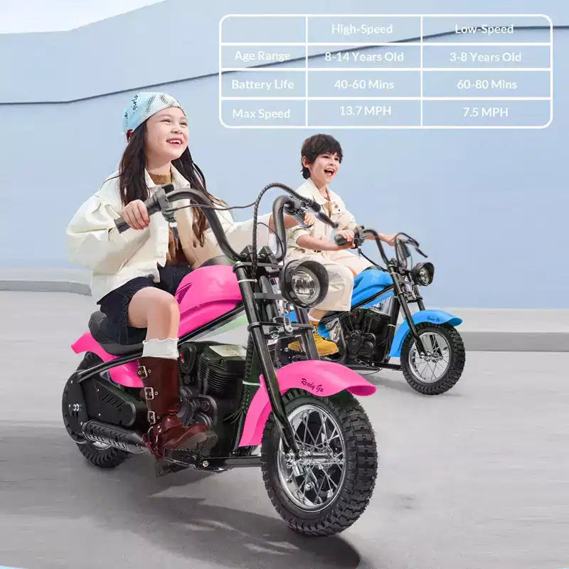 24V Kids Electric Dirt Bike - 14 MPH Off-Road Motorcycle for Ages 6-12, 250w Powerful Motor, 60 Min Ride Time, Hydraulic Suspension, Max 135 Lbs